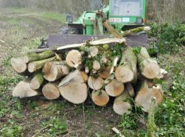 Agris Parcs & Jardins votre spécialiste en entretien et aménagement d'espace vert- élagage et abattage d'arbres