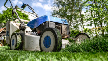 Agris Parcs & Jardins votre spécialiste en entretien et aménagement d'espace vert - Espace Vert